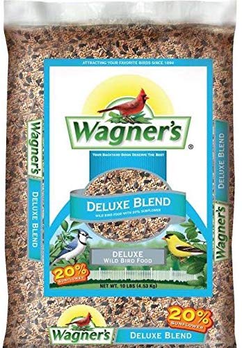 Best Bird Food