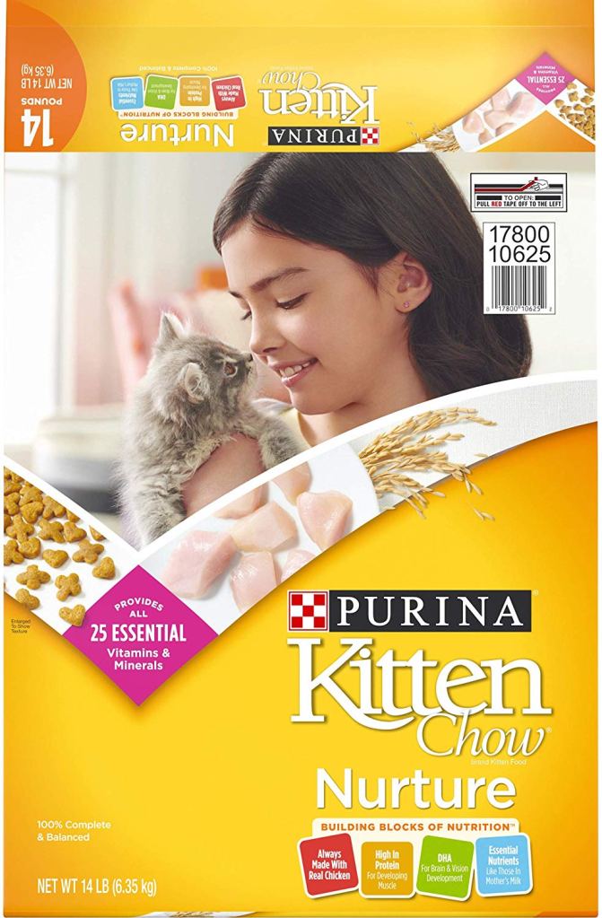 Best Kitten Food